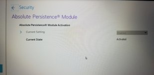 Absolute Persistence Module screen.jpg