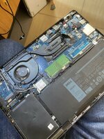 IMG_2120.jpeg